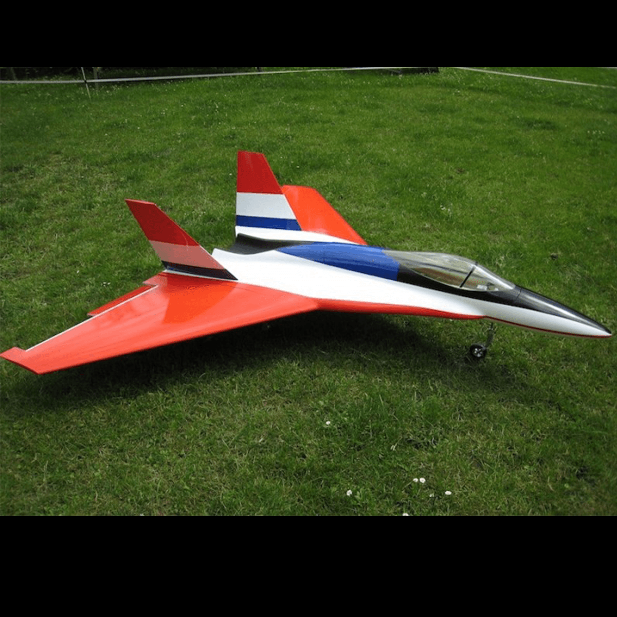 Wild Hornet (Jet Arrows)