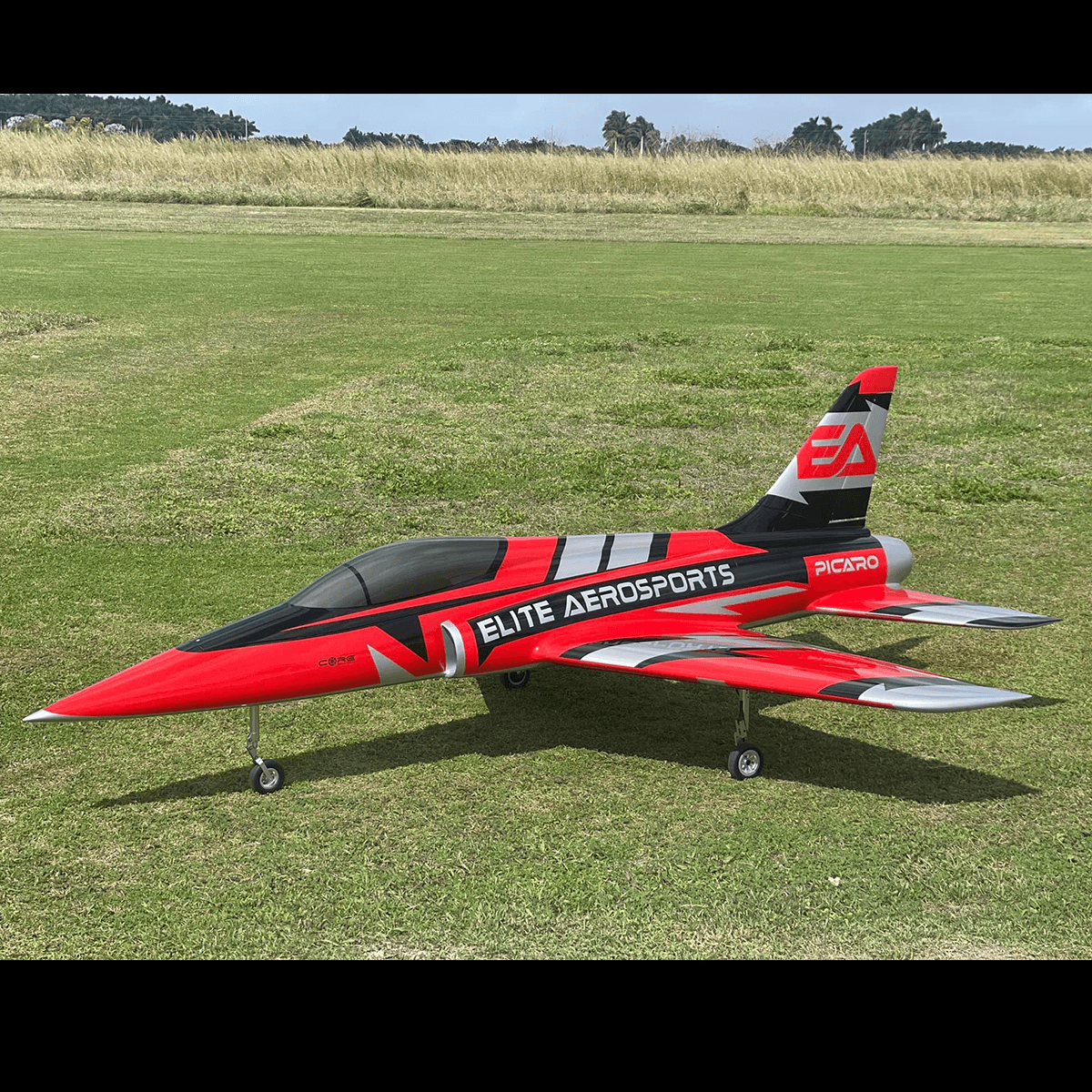 Picaro (Elite Aerosports)