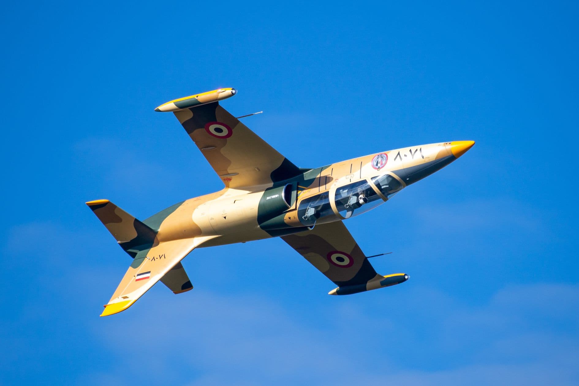 L-39 Albatros 2.7m